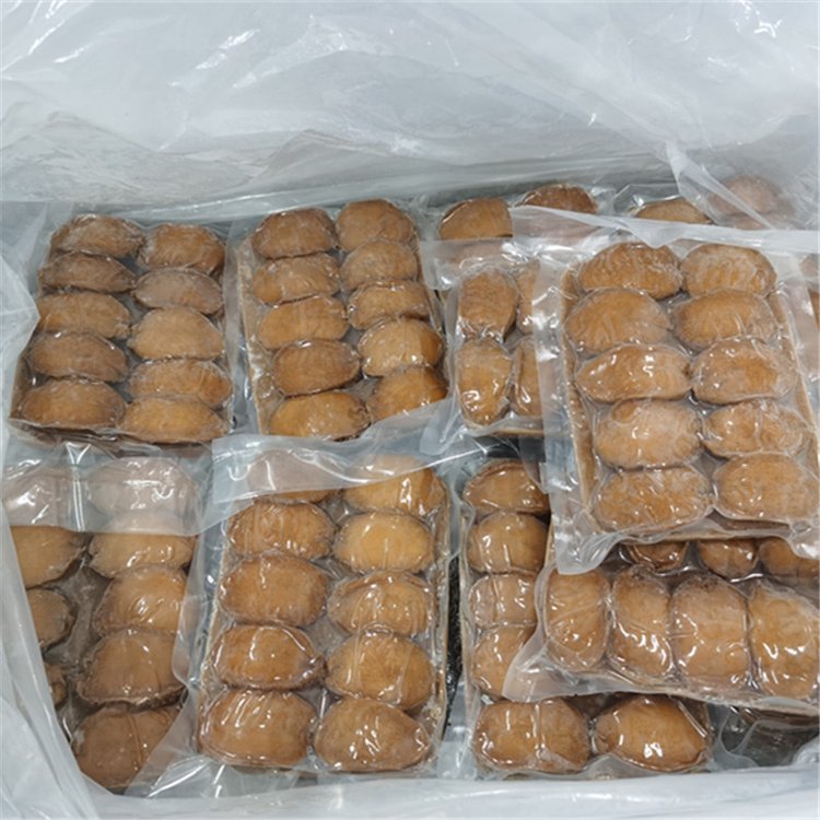 即热红烧10头鲍鱼|冷链袋装熟鲍鱼供应商